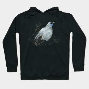 Mrs Kokako, New Zealand native bird Hoodie